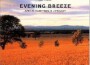 EVENING BREEZE~「ニュースの森」エンドテーマ集專輯_神山純一EVENING BREEZE~「ニュースの森」エンドテーマ集最新專輯