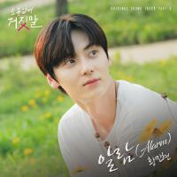 소용없어 거짓말 OST Part 6 (My Lovely Liar, Pt. 6 (Original Television Soundtrack))