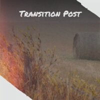 Transition Post專輯_Dermot OMahonyTransition Post最新專輯