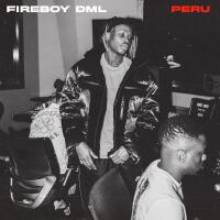 Fireboy DML歌曲歌詞大全_Fireboy DML最新歌曲歌詞