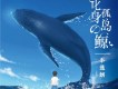 化身孤島的鯨專輯_李逸朗化身孤島的鯨最新專輯