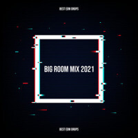 Big Room Mix 2021- Best EDM Drops