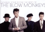 The Blow Monkeys歌曲歌詞大全_The Blow Monkeys最新歌曲歌詞