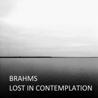 Brahms: Lost in contemplation專輯_Anne-Sophie MutterBrahms: Lost in contemplation最新專輯