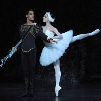 Royal Ballet Sinfonia歌曲歌詞大全_Royal Ballet Sinfonia最新歌曲歌詞