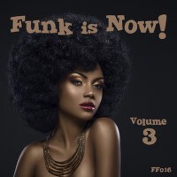 Funk Is Now! Vol. 3專輯_Piadina FunkFunk Is Now! Vol. 3最新專輯