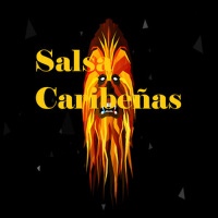 Salsa Caribeñas專輯_Tony VegaSalsa Caribeñas最新專輯