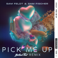 Pick Me Up (Billen Ted Remix)專輯_Sam FeldtPick Me Up (Billen Ted Remix)最新專輯