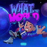 What In The World (Explicit)