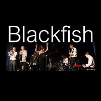 Blackfish圖片照片