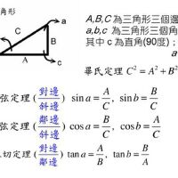 Tan圖片照片_Tan