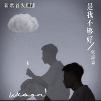 張湋森歌曲歌詞大全_張湋森最新歌曲歌詞