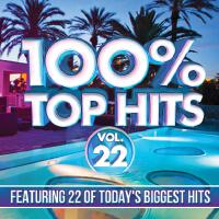 100% Top Hits, Vol. 22