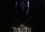 Black Panther: Wakanda Forever - Music From and Inspired By專輯_FoudequshBlack Panther: Wakanda Forever - Music From and Inspired By最新專輯