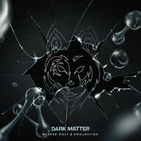 Dark Matter