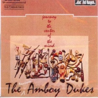 Journey To The Center Of The Mind專輯_The Amboy DukesJourney To The Center Of The Mind最新專輯