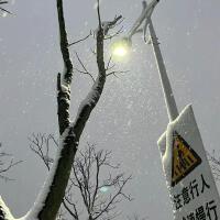 冬天和雪