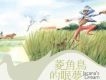 菱角鳥的眠夢 - 彭靖&螢火蟲