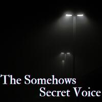 Secret Voice