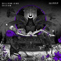 Sleep (with Calcium)專輯_Sullivan KingSleep (with Calcium)最新專輯