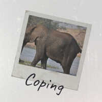 Coping