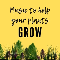 Music to Help Your Plants Grow專輯_Kavin RacurMusic to Help Your Plants Grow最新專輯