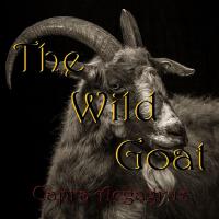 Carpra Aegagrus專輯_The Wild GoatCarpra Aegagrus最新專輯