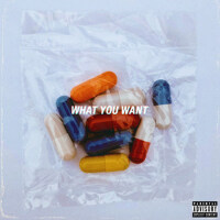 What You Want專輯_PLVTINUMWhat You Want最新專輯