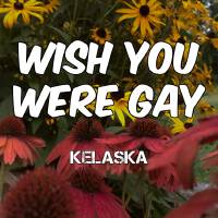 Wish You Were Gay