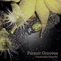 Pursuit Grooves歌曲歌詞大全_Pursuit Grooves最新歌曲歌詞