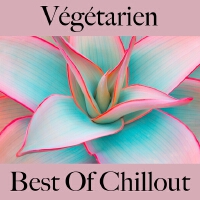 Végétarien: best of chillout