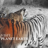 Visit Planet Earth