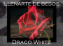 Llenarte de besos專輯_Draco WhiteLlenarte de besos最新專輯