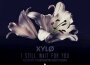 I Still Wait For You (Nolan van Lith x Felix Palmq專輯_XYLØI Still Wait For You (Nolan van Lith x Felix Palmq最新專輯