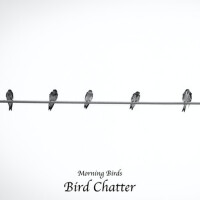 Bird Chatter