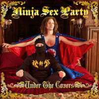 Ninja Sex Party