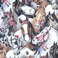 Horse Blanket專輯_PosseHorse Blanket最新專輯