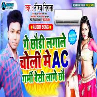 Lagale Choli Me Ac Garmi Besi Lage Chou專輯_Neeraj NiralaLagale Choli Me Ac Garmi Besi Lage Chou最新專輯