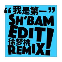 我是第一 SH BAM EDIT Chuchu Wen Remix - instrumental