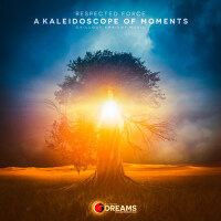 A Kaleidoscope of Moments專輯_Respected ForceA Kaleidoscope of Moments最新專輯