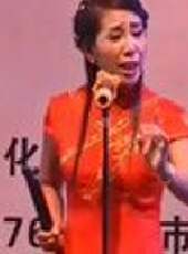 河南墜子 郭永章 戲曲 曲藝 民間藝術 魯南梆子 馬街說書最新一期線上看_全集完整版高清線上看 - 蟲蟲綜藝