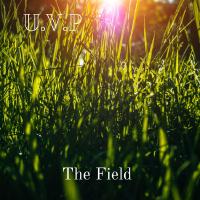 The Field