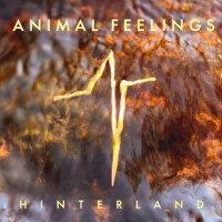 Hinterland專輯_Animal FeelingsHinterland最新專輯