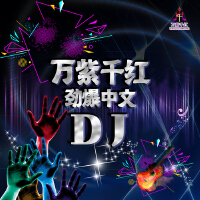 萬紫千紅中文勁爆DJ