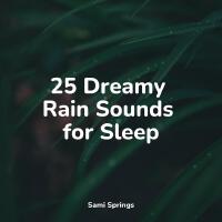 25 Dreamy Rain Sounds for Sleep專輯_Meditation Relaxatio25 Dreamy Rain Sounds for Sleep最新專輯