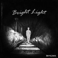 Bright Light專輯_索朗雲丹Bright Light最新專輯