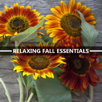 Relaxing Fall Essentials: Fall 2021, Chill Jazz Vibes