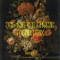 Vois sur ton chemin (Techno Mix)