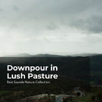 Downpour in Lush Pasture專輯_Rain Sounds Nature CDownpour in Lush Pasture最新專輯