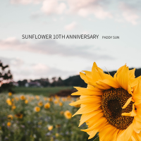 Sunflower 10th Anniversary